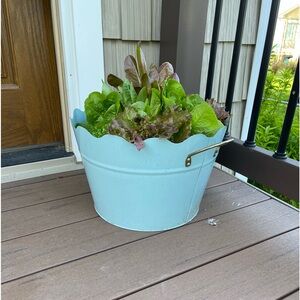 Outdoor Ice Party Bucket